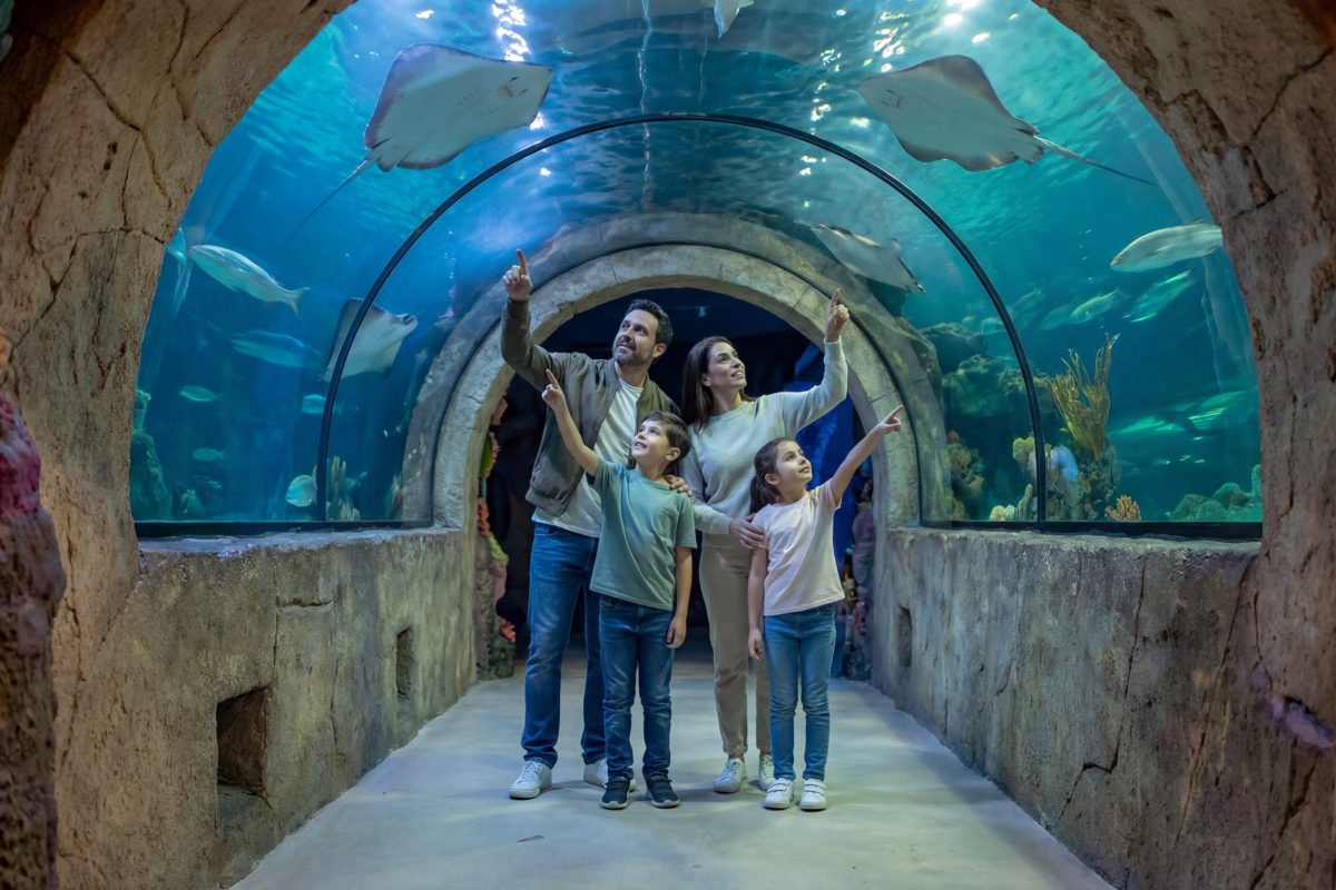 Oceanic Aquarium em Balneário Camboriú